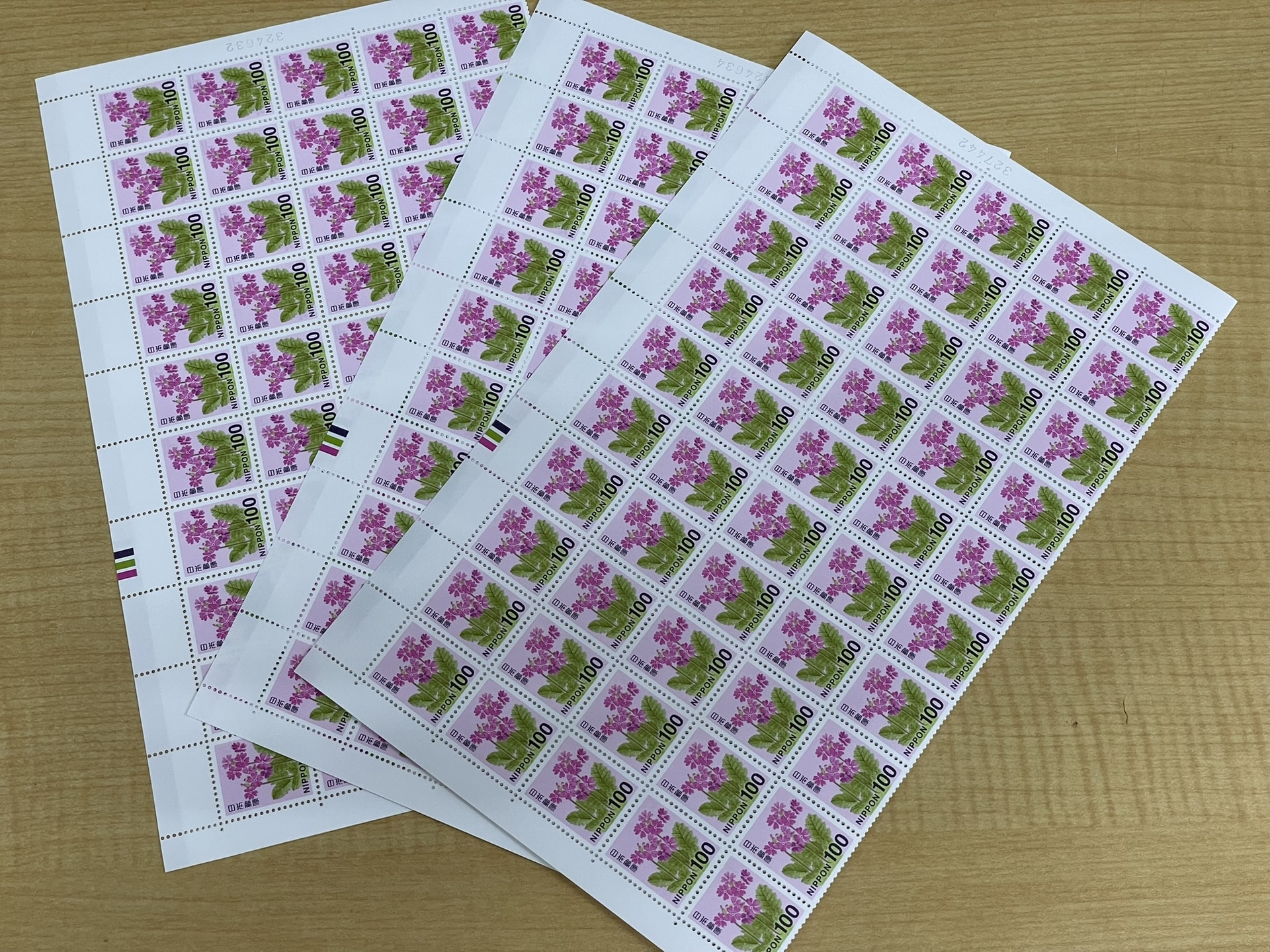 普通切手 サクラソウ100円×100面シート